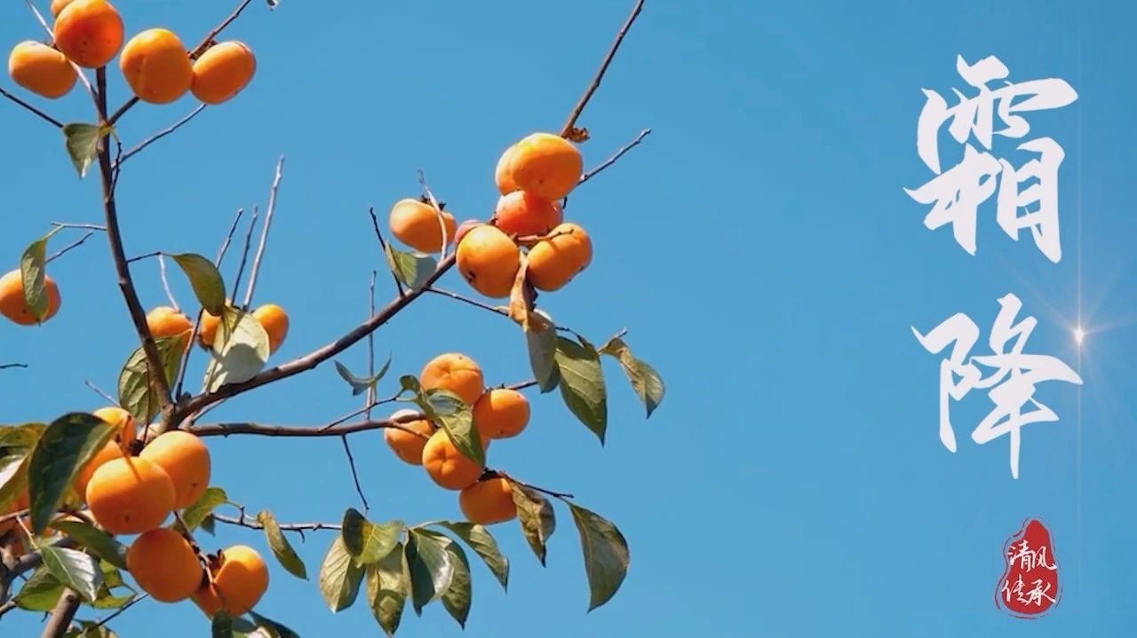 清風(fēng)·傳承丨霜降：霜華漸落 更見秋實